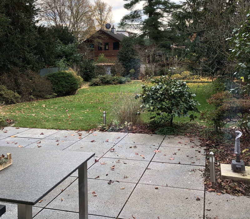 Garten in Köln-Weiden Garten Köln-Weiden